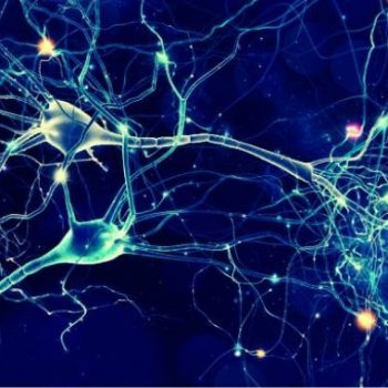 Memoria_Destacada-350x350-la